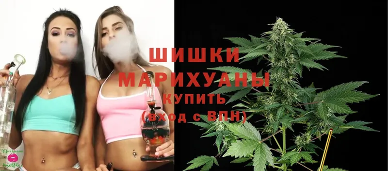 МЕГА вход  Алагир  Бошки марихуана THC 21%  наркотики 